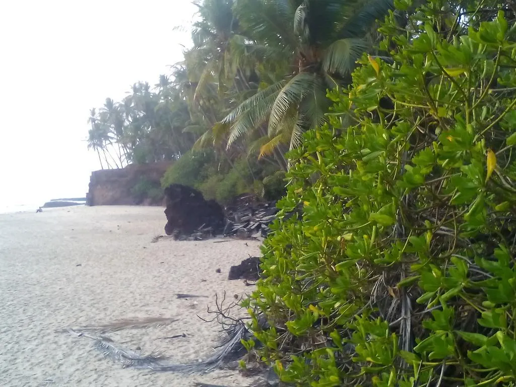 Hotel Ivory Coaste à Kannur Maison d'hôtes